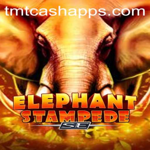 Discover the Excitement of ElephantStampedeSE: A Thrilling Adventure in the World of TMT Cash